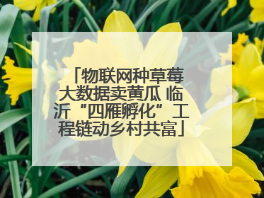 物联网种草莓 大数据卖黄瓜 临沂“四雁孵化”工程链动乡村共富