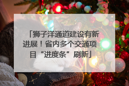 狮子洋通道建设有新进展！省内多个交通项目“进度条”刷新
