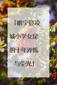 睢宁县凌城小学女足的十年淬炼与荣光