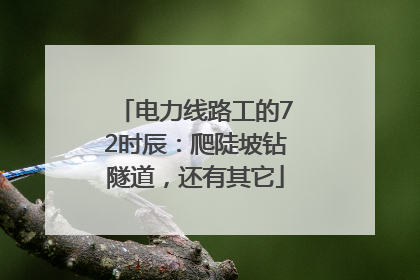 电力线路工的72时辰：爬陡坡钻隧道，还有其它