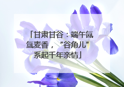 甘肃甘谷：端午氤氲麦香，“谷角儿”系起千年亲情