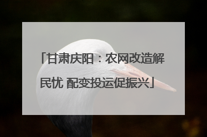 甘肃庆阳：农网改造解民忧 配变投运促振兴