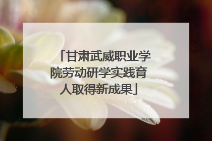 甘肃武威职业学院劳动研学实践育人取得新成果