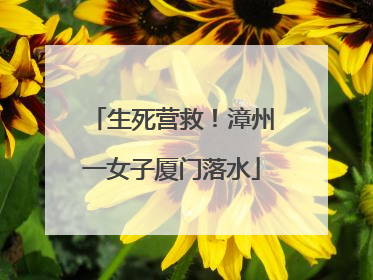生死营救！漳州一女子厦门落水