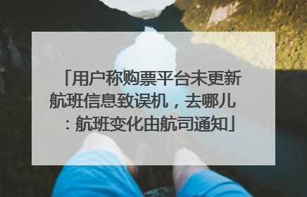 用户称购票平台未更新航班信息致误机，去哪儿：航班变化由航司通知