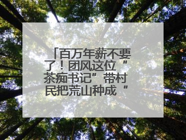 百万年薪不要了！团风这位“茶痴书记”带村民把荒山种成“绿色银行”