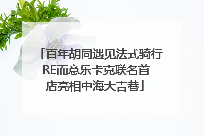 百年胡同遇见法式骑行 RE而意乐卡克联名首店亮相中海大吉巷