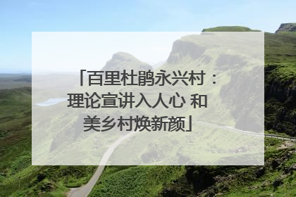 百里杜鹃永兴村：理论宣讲入人心 和美乡村焕新颜