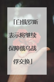 白俄罗斯表示将继续保障俄乌战俘交换