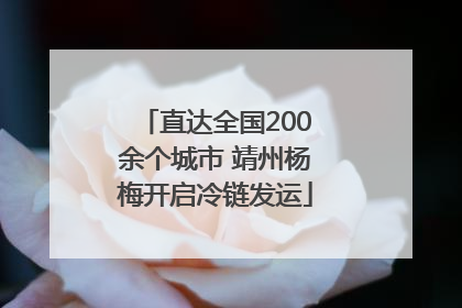 直达全国200余个城市 靖州杨梅开启冷链发运