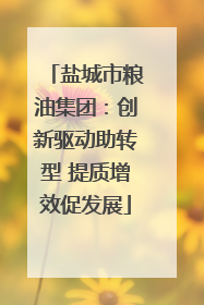盐城市粮油集团：创新驱动助转型 提质增效促发展