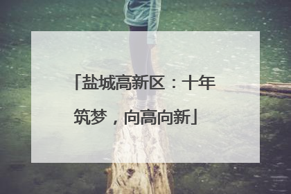 盐城高新区：十年筑梦，向高向新