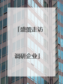 盛蕾走访调研企业