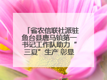 省农信联社派驻鱼台县唐马镇第一书记工作队助力“三夏”生产 彰显为民担当