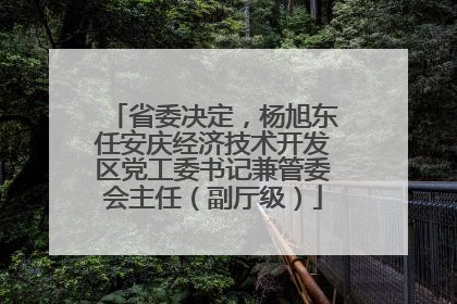 省委决定，杨旭东任安庆经济技术开发区党工委书记兼管委会主任（副厅级）