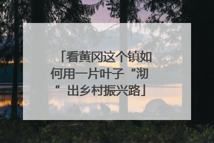 看黄冈这个镇如何用一片叶子“沏”出乡村振兴路