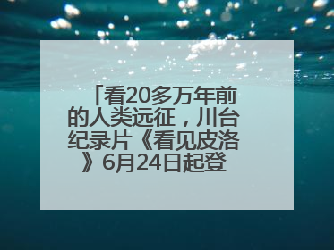 看20多万年前的人类远征，川台纪录片《看见皮洛》6月24日起登陆央视