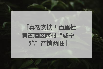 真帮实扶！百里杜鹃管理区两村“威宁鸡”产销两旺