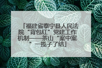福建省泰宁县人民法院“背包红”党建工作机制——茶山“案中案”一揽子了结