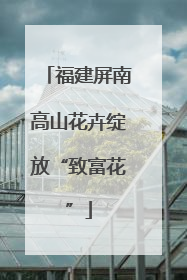 福建屏南高山花卉绽放“致富花”
