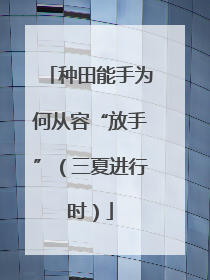 种田能手为何从容“放手”（三夏进行时）