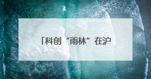 科创“雨林”在沪茁壮生长，“硬核”成果吸引全球目光