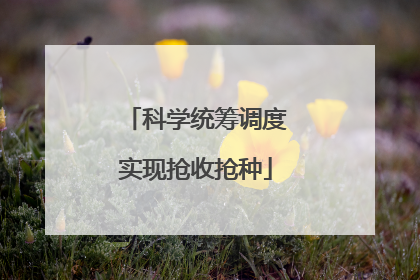 科学统筹调度实现抢收抢种