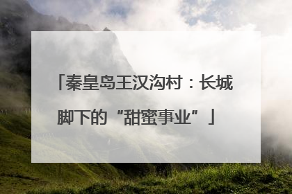 秦皇岛王汉沟村：长城脚下的“甜蜜事业”