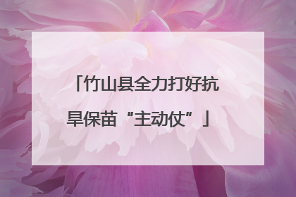 竹山县全力打好抗旱保苗“主动仗”