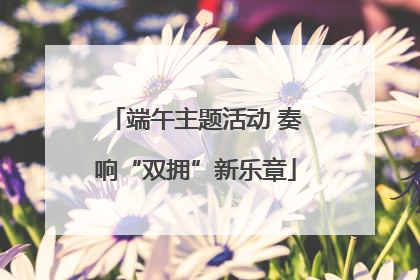 端午主题活动 奏响“双拥”新乐章