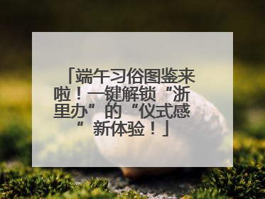 端午习俗图鉴来啦！一键解锁“浙里办”的“仪式感”新体验！