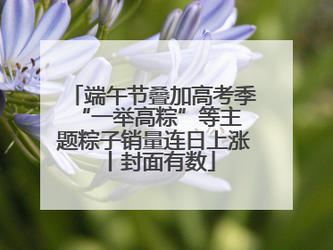 端午节叠加高考季 “一举高粽”等主题粽子销量连日上涨丨封面有数
