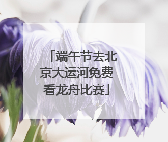 端午节去北京大运河免费看龙舟比赛