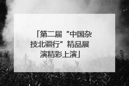 第二届“中国杂技北疆行”精品展演精彩上演