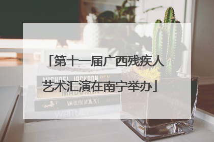 第十一届广西残疾人艺术汇演在南宁举办