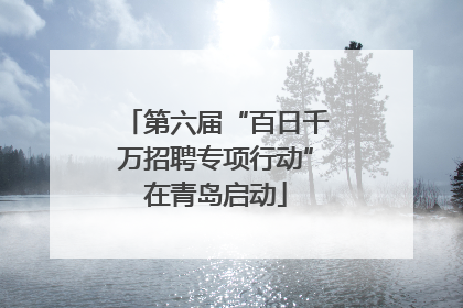 第六届“百日千万招聘专项行动”在青岛启动