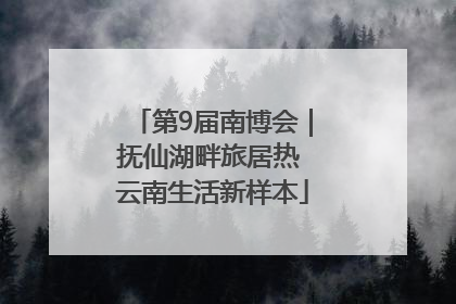 第9届南博会｜抚仙湖畔旅居热 云南生活新样本