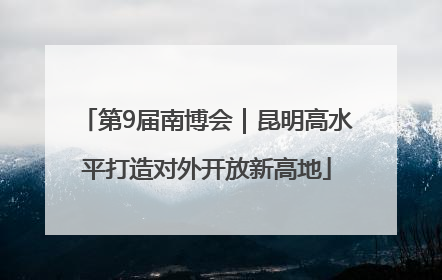 第9届南博会｜昆明高水平打造对外开放新高地