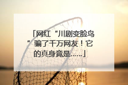 网红“川剧变脸鸟”骗了千万网友！它的真身竟是……