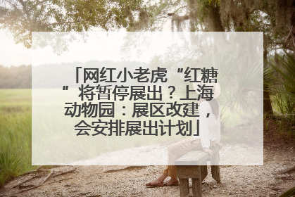 网红小老虎“红糖”将暂停展出？上海动物园：展区改建，会安排展出计划