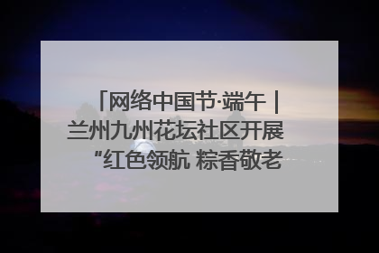 网络中国节·端午｜兰州九州花坛社区开展“红色领航 粽香敬老”端午主题活动