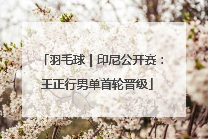 羽毛球｜印尼公开赛：王正行男单首轮晋级