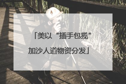美以“插手包揽”加沙人道物资分发