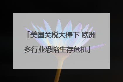 美国关税大棒下 欧洲多行业恐陷生存危机