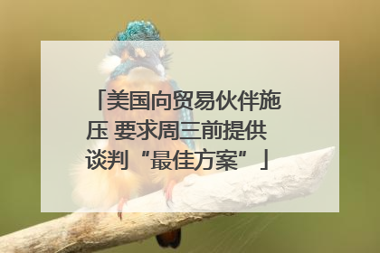 美国向贸易伙伴施压 要求周三前提供谈判“最佳方案”