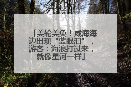 美轮美奂！威海海边出现“蓝眼泪”，游客：海浪打过来，就像星河一样