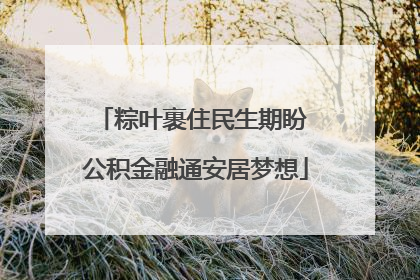 粽叶裹住民生期盼 公积金融通安居梦想