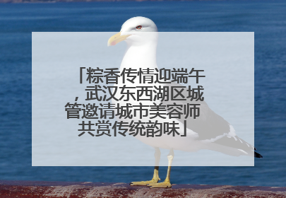 粽香传情迎端午，武汉东西湖区城管邀请城市美容师共赏传统韵味