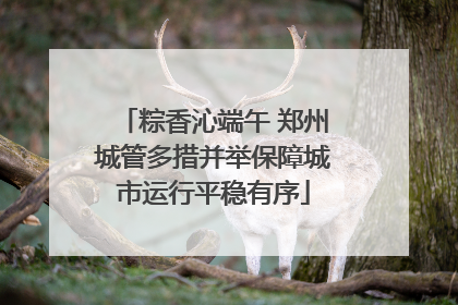 粽香沁端午 郑州城管多措并举保障城市运行平稳有序