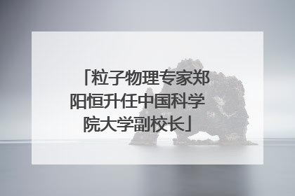 粒子物理专家郑阳恒升任中国科学院大学副校长